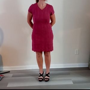 Soft Knit Plum Colored Sweater Dress